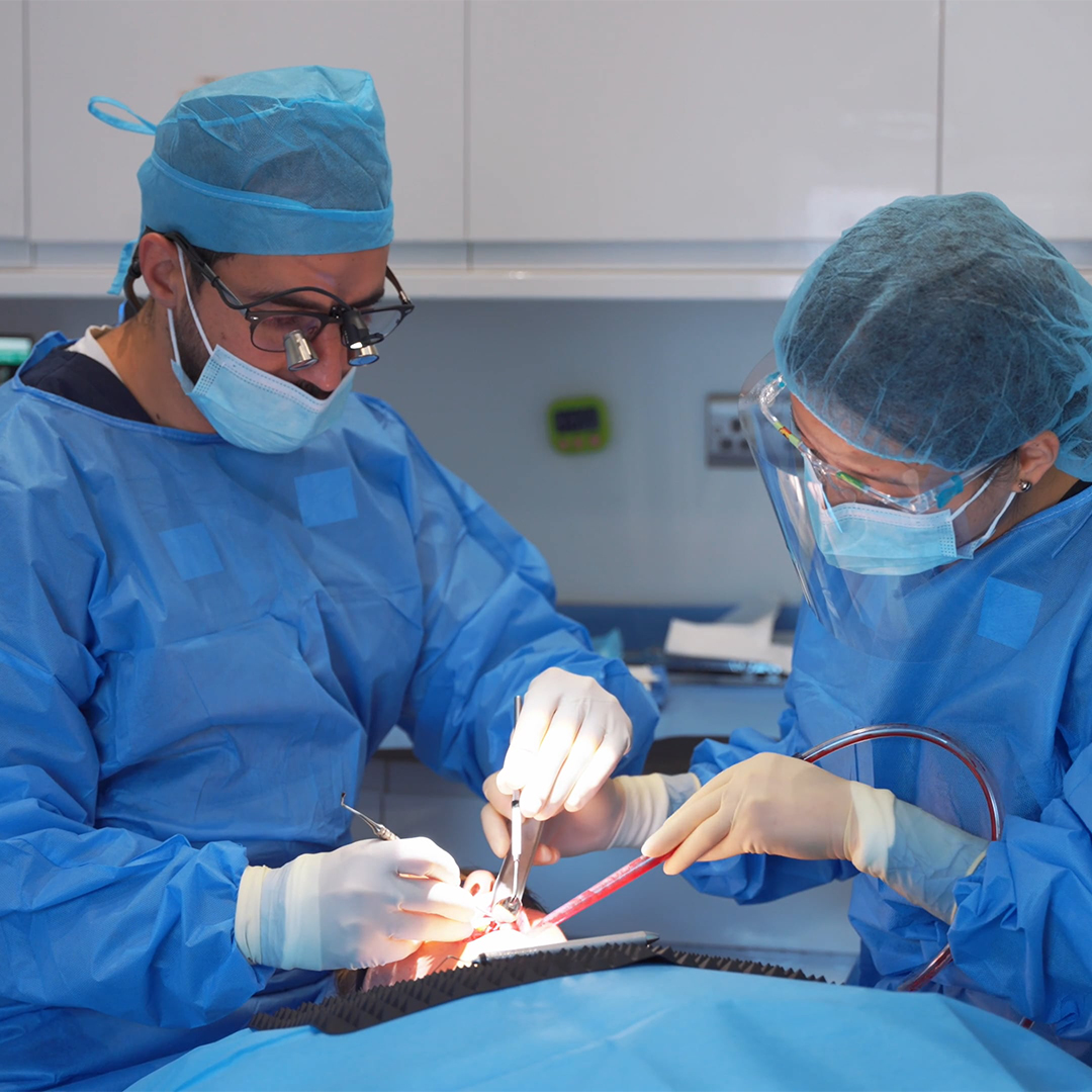 Mini-Dental-Implants smilerooms